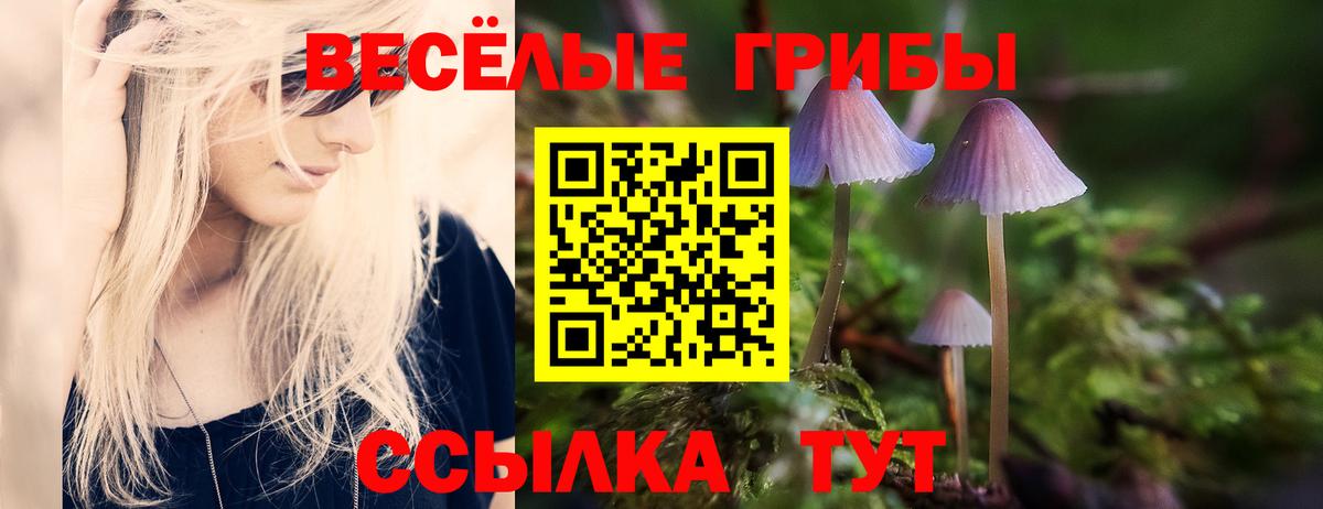 Псилоцибиновые грибы Psilocybe Фурманов